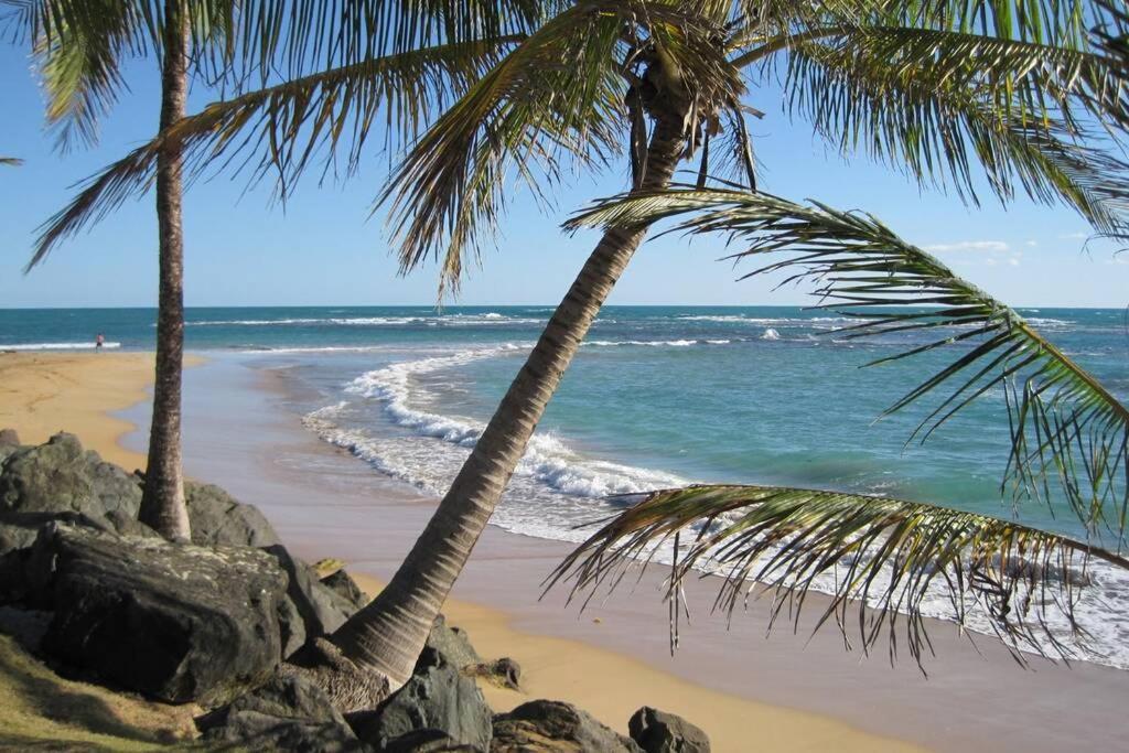 Comfortable And Affordable Deal Close To Beach And Rainforest Rio Grande Ngoại thất bức ảnh